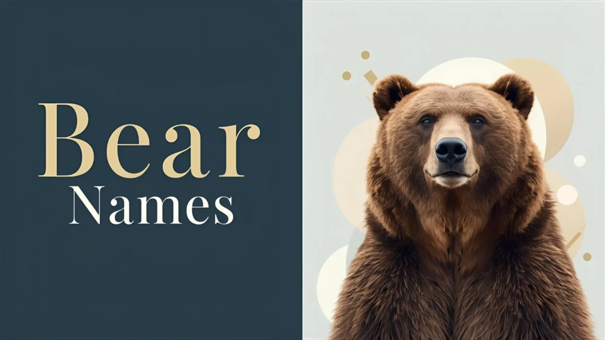 bear names
