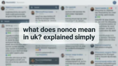 what does nonce mean in uk